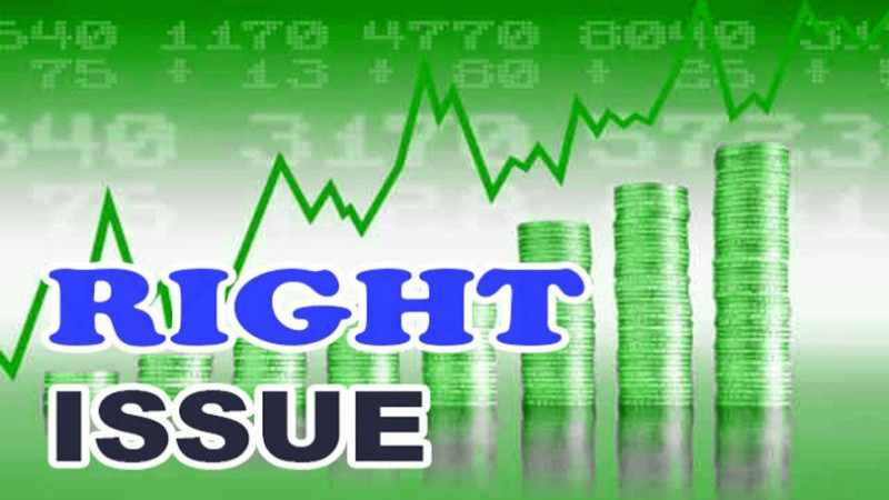 नेशनल हाइड्रोपावर कम्पनीले शुक्रवारदेखि ५० % हकप्रद शेयर निष्कासन